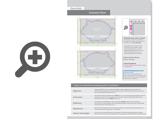 Product Bild schwein-flyer